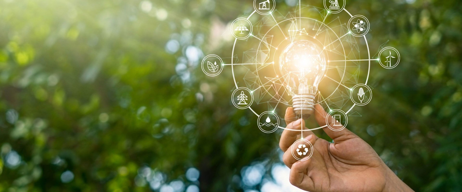 The Importance of Sustainability Marketing Agency