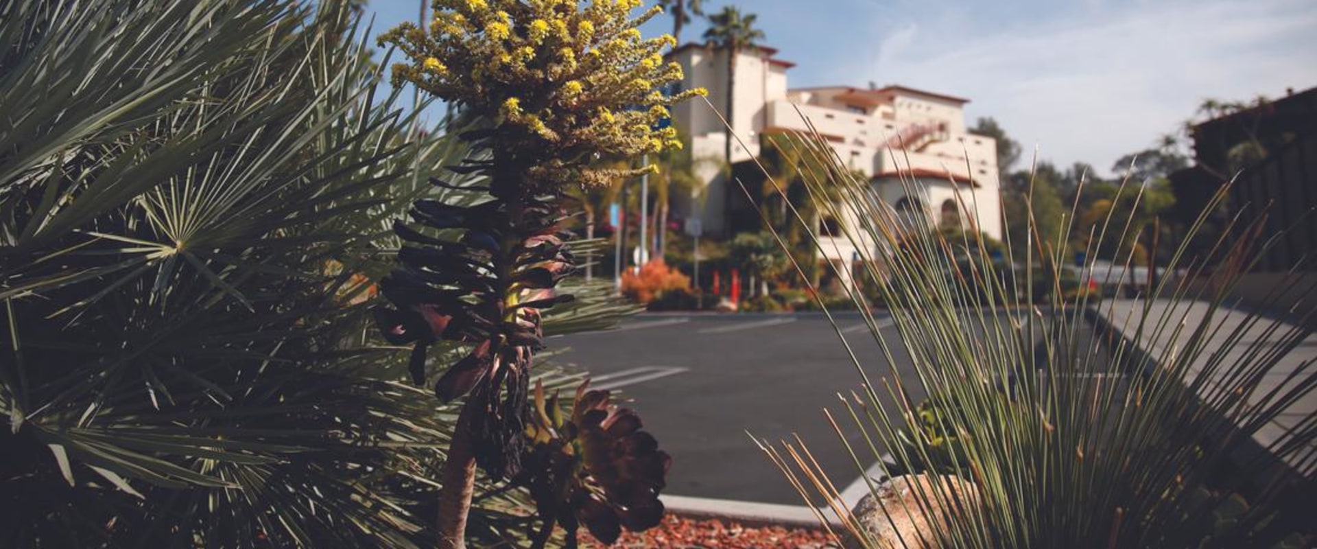 Choosing The Best Private Schools In Brentwood CA