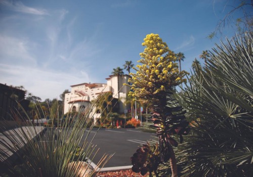 Choosing The Best Private Schools In Brentwood CA